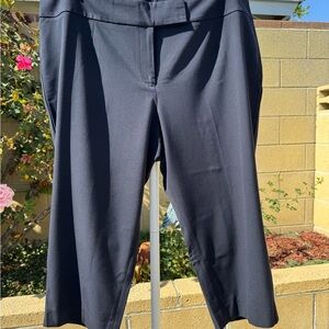 Talbots Navy Woman Petites Pants